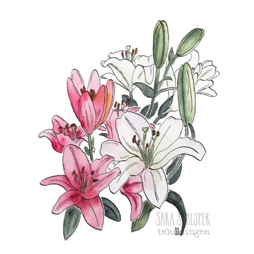 Tekening lelies