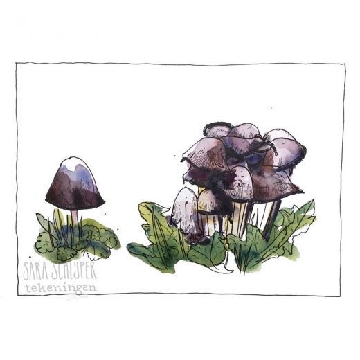 Tekening paddenstoelen