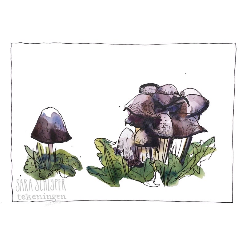 Tekening paddenstoelen