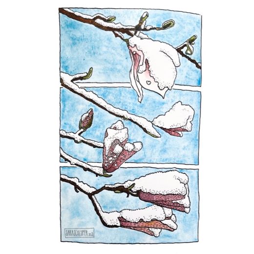 tekening magnolia's in de sneeuw