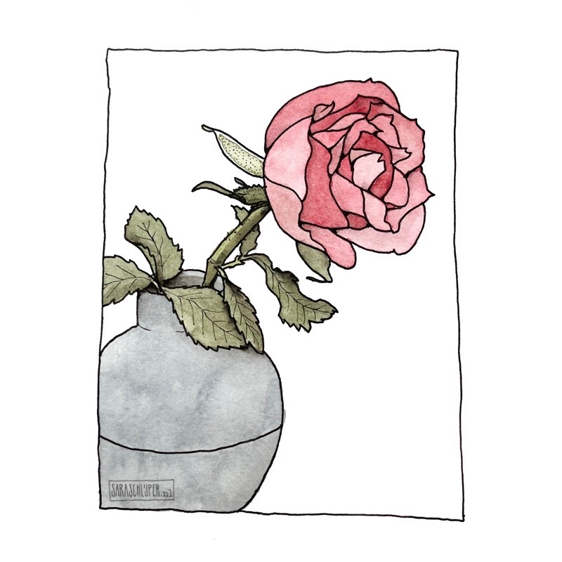 Tekening roze roos