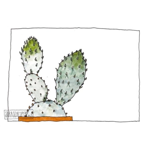 tekening cactus