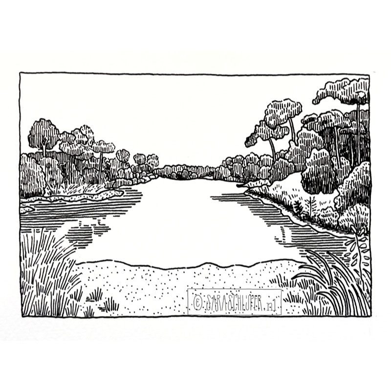 Tekening Oisterwijkse vennen