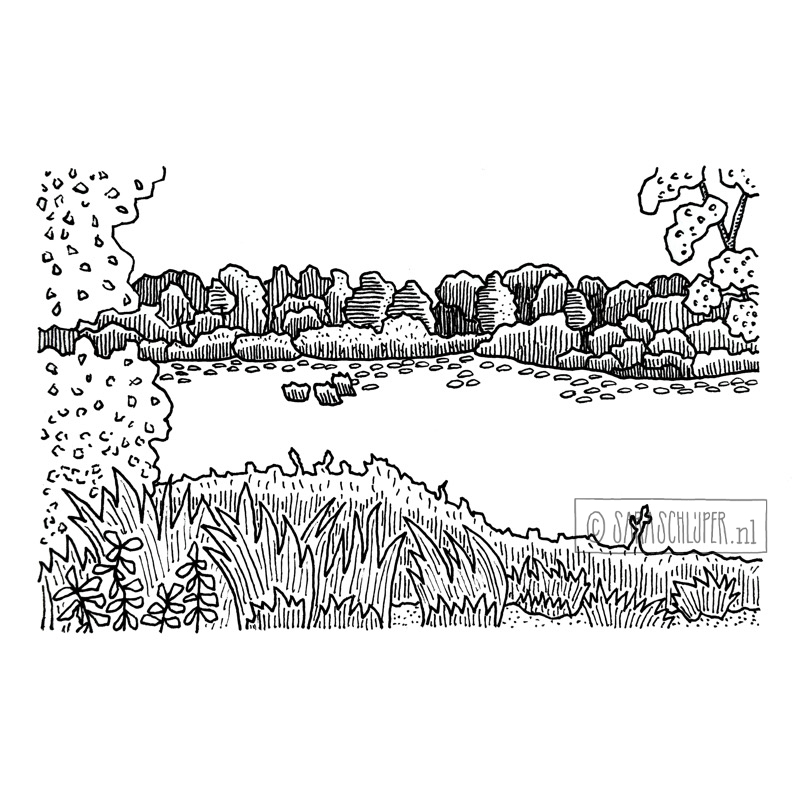 Tekening Oisterwijkse vennen